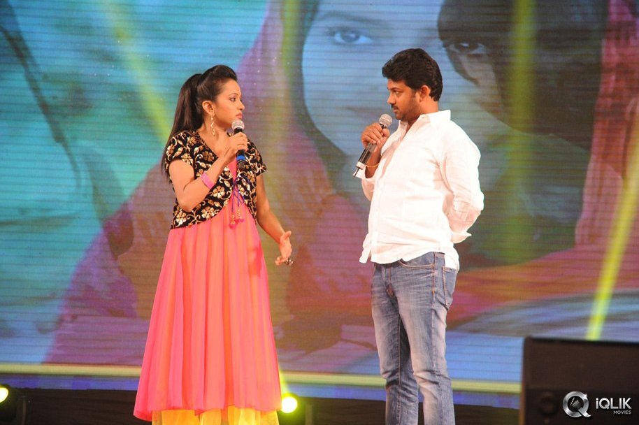 Rowdy-Fellow-Movie-Audio-Launch